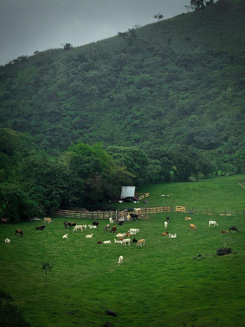 Mejora del control productivo en campo