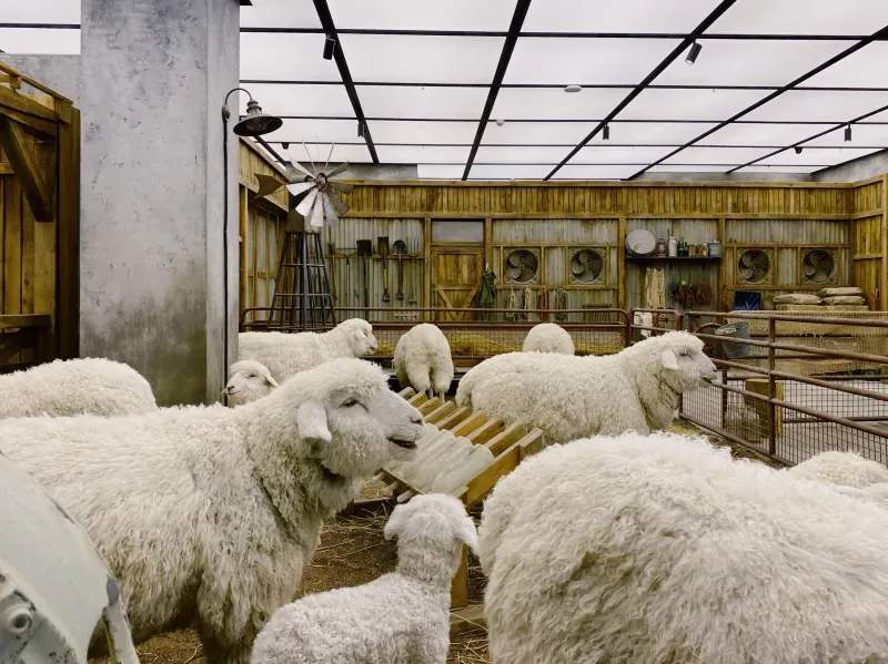 Alimentación y manejo integral del ganado